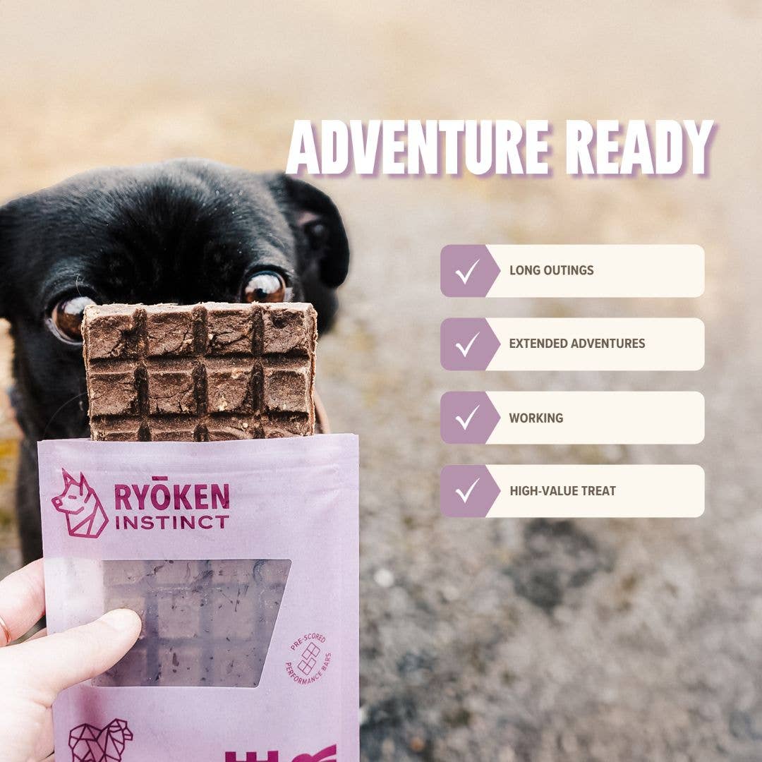 Lamb Treat & Snack Bar for Active Dogs - Energy & Recovery