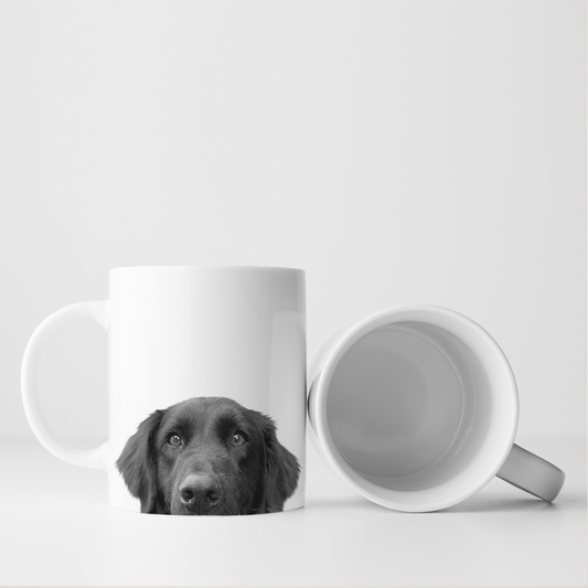 Peeking Lab Mug