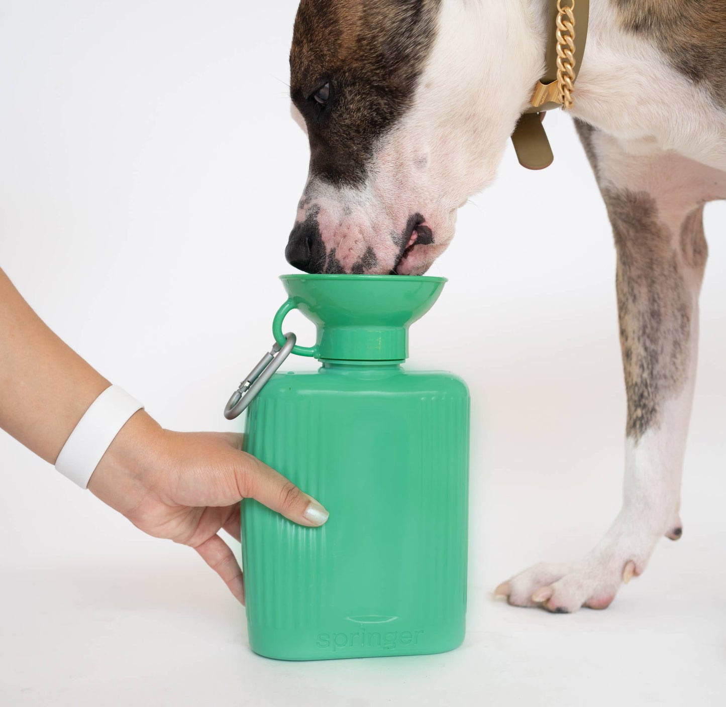 Dog Travel Water Bottle (44oz)