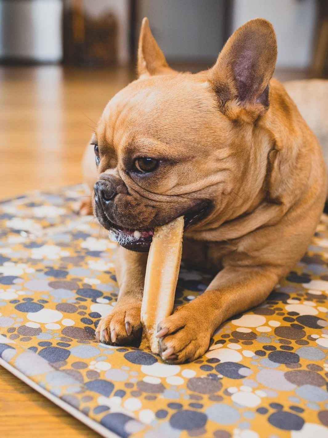 Flavored YAK Long Lasting Chews